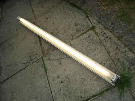 Photo of free 5 foot Flourescent lamp (NR Farnham) #1