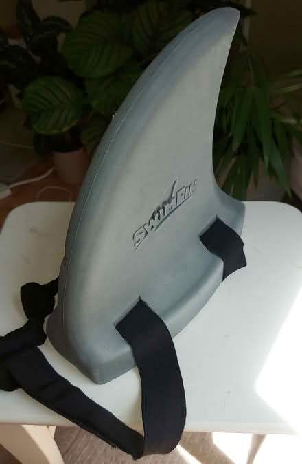 Photo of free Swim Fin (Hollingbury BN1) #2