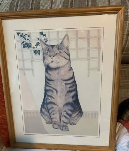 Photo of free Cat print in pine frame (Far Bletchley MK3) #1