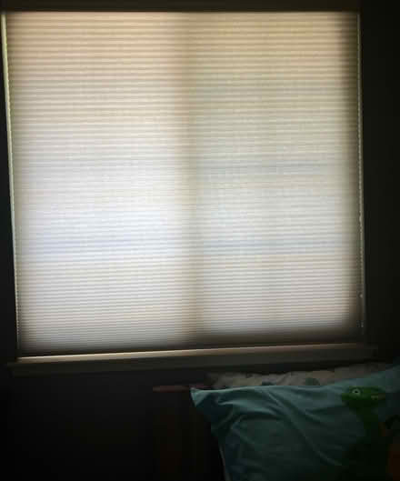 Photo of free Light filtering shade (Pleasanton Country Fair) #2