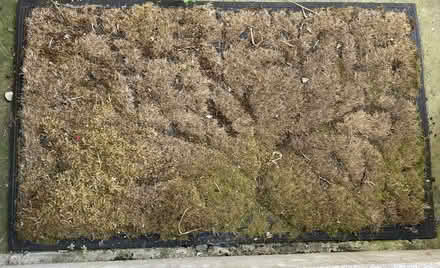 Photo of free Outdoor mat (Tolworth KT6) #1