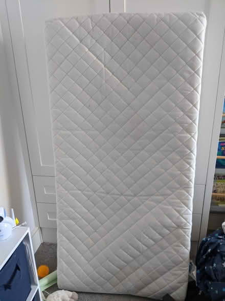 Photo of free Cot bed mattress (Harringay N4) #1