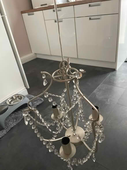 Photo of free Candelabra style celling light (Didsbury M20) #3