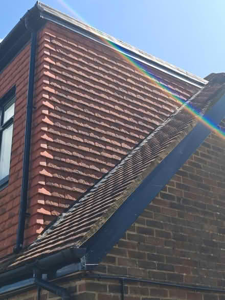 Photo of free Roof tiles (Westkingsdown) #4