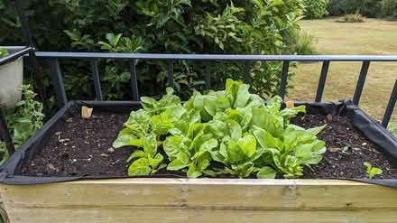 Photo of free VegTrug small (Bramley) #1