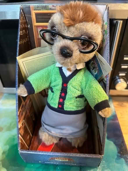 Photo of free Maiya Compare The Meercat toy (Croydon centre CR0) #1
