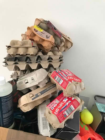 Photo of free Egg boxes and trays (Ullesthorpe LE17) #1