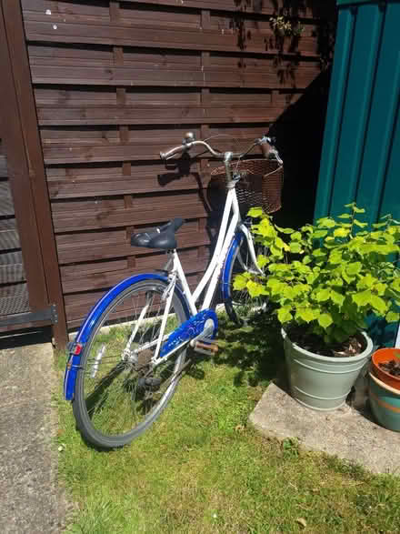 Photo of free Dawes Bicycle (Hethersett NR9) #1