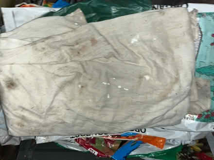 Photo of free Large thick cotton dust sheet (Kennington SE11) #1