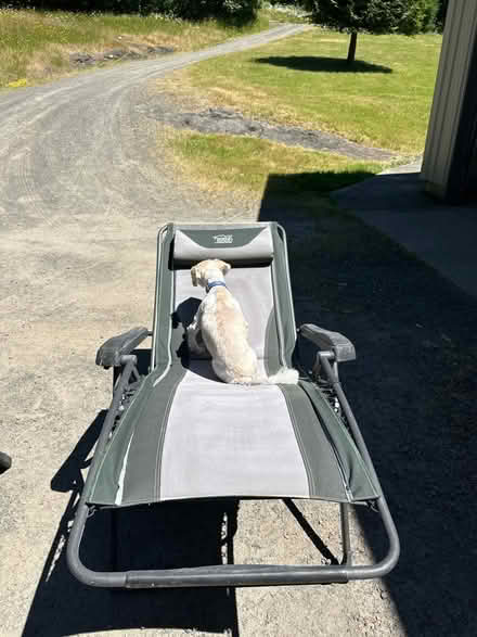 Photo of free Anti gravity chairs (Camas - Livingston Mountain) #2