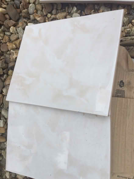 Photo of free 13 glossy wall tiles (luton LU3) #1