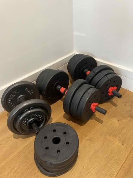 Photo of free Weights (Pimlico SW1W) #1