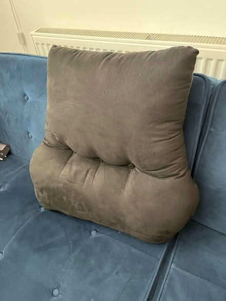 Photo of free Lower back support cushion (Streatham) #2