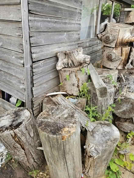 Photo of free Wood (Coventry binley) #2