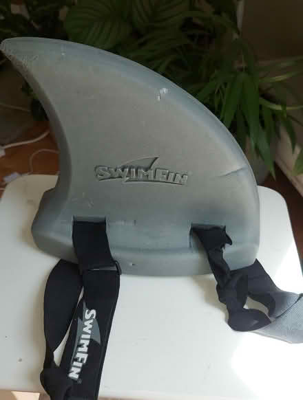 Photo of free Swim Fin (Hollingbury BN1) #1