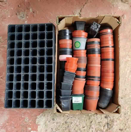 Photo of free Plant pots (Abertillery NP13) #1