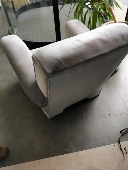 Photo of free Grey velvet armchair (BB1) #2
