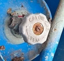 Photo of free Blue Calor gas cylinder (Wokingham RG40) #2