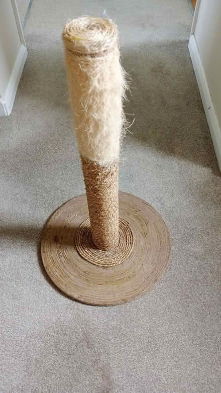 Photo of free Cat scratching post (Totteridge HW HP13) #1
