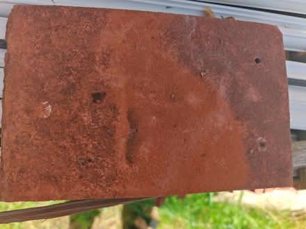 Photo of free Roof tiles (Westkingsdown) #3