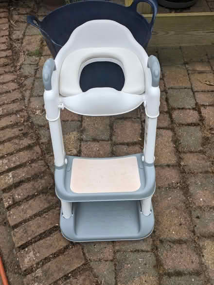 Photo of free Toilet Training seat (Wormingford CO6) #2