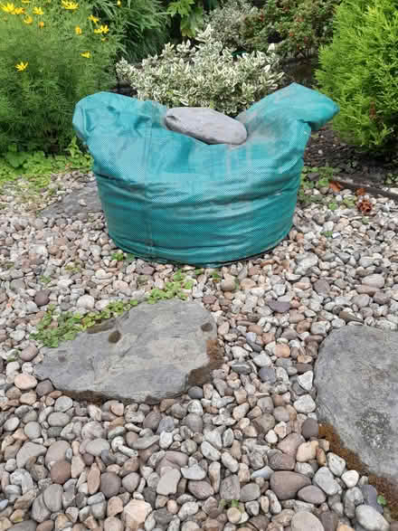 Photo of free Garden Soil (Long Eaton .) #1