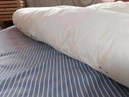 Photo of free Pregnancy pillow (Shirley CR0) #3