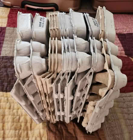 Photo of free egg cartons (Simi Valley) #1