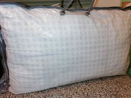 Photo of free Hollow Fibre Pillow. (Penrith CA11) #1