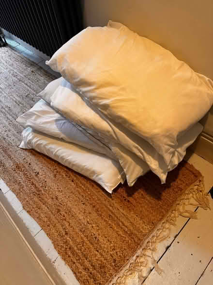 Photo of free 6 standard microfibre pillows used (Newhaven) #1