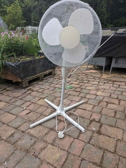 Photo of free Pedestal Fan - Working (Wormingford CO6) #1