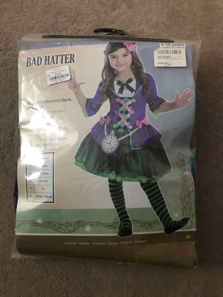 Photo of free Girls Bad Hatter fancy dress (Surbiton KT6) #1