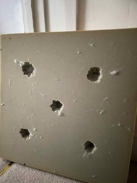 Photo of free Firm foam (CR0 3) #2