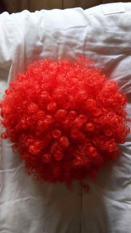 Photo of free Nylon wig (CM15 Shenfield) #1