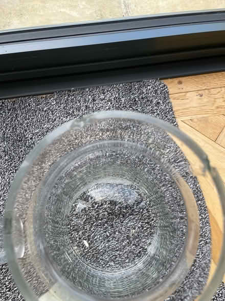 Photo of free Large glass vases (Didsbury M20) #2