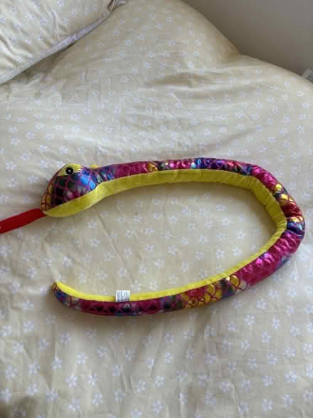 Photo of free Toy Rainbow Snake (Reabrook Estate SY2) #1