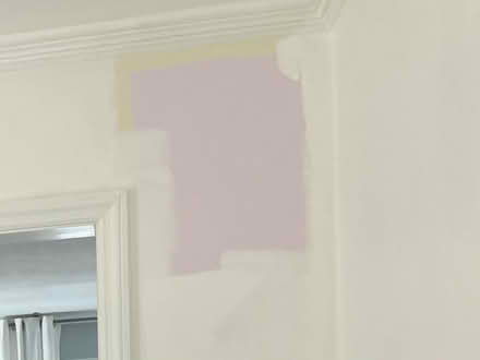 Photo of free pink paint (Larchmont, Norfolk) #2