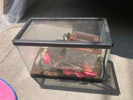 Photo of free Small Terrarium (Silver Lake Blvd.) #1