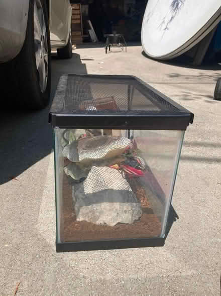 Photo of free Small Terrarium (Silver Lake Blvd.) #2