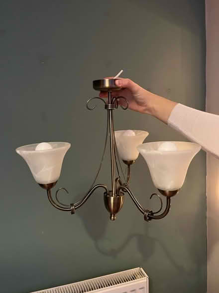 Photo of free Ceiling light fixtures (Brantham CO11) #1