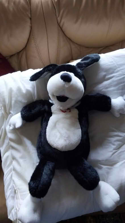 Photo of free Dog toy (CM15 Shenfield) #1