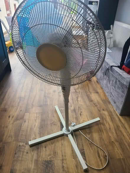 Photo of free Pedestal Fan (tadworth KT20) #1