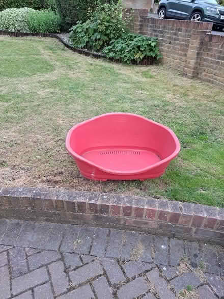 Photo of free Large Dog Bed (CT11) #1