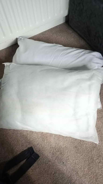 Photo of free 2 pillows (M21 chorlton) #1