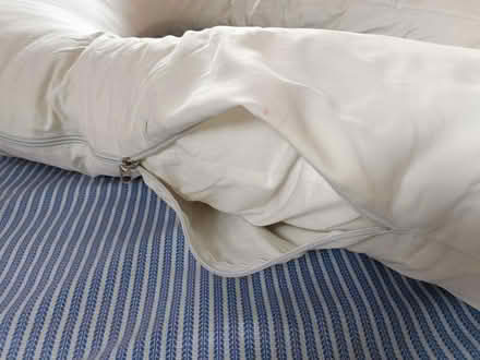 Photo of free Pregnancy pillow (Shirley CR0) #4