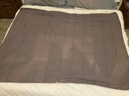 Photo of free Weighted blanket (Alameda - East Side) #1