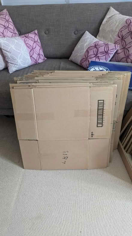Photo of free Packing boxes (Willesden Green) #1
