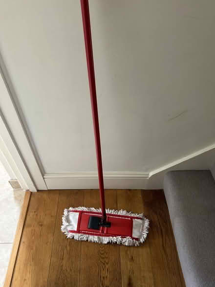 Photo of free Duster broom (Chiswick W4) #2