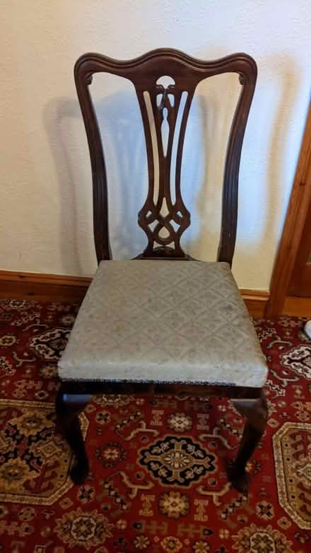 Photo of free Two dining chairs (CM15 Shenfield) #1