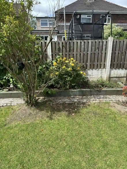 Photo of free Garden Bushes/Shrubs (Lostock Hall PR5) #1